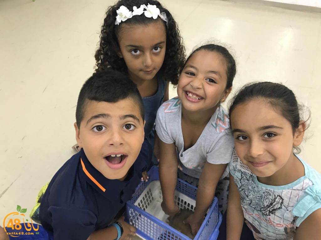 f3alayat saayf (11).jpeg